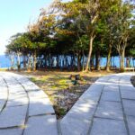 海と木立を背景に、石畳の道が左右二手に分かれている。青空が広がっている。